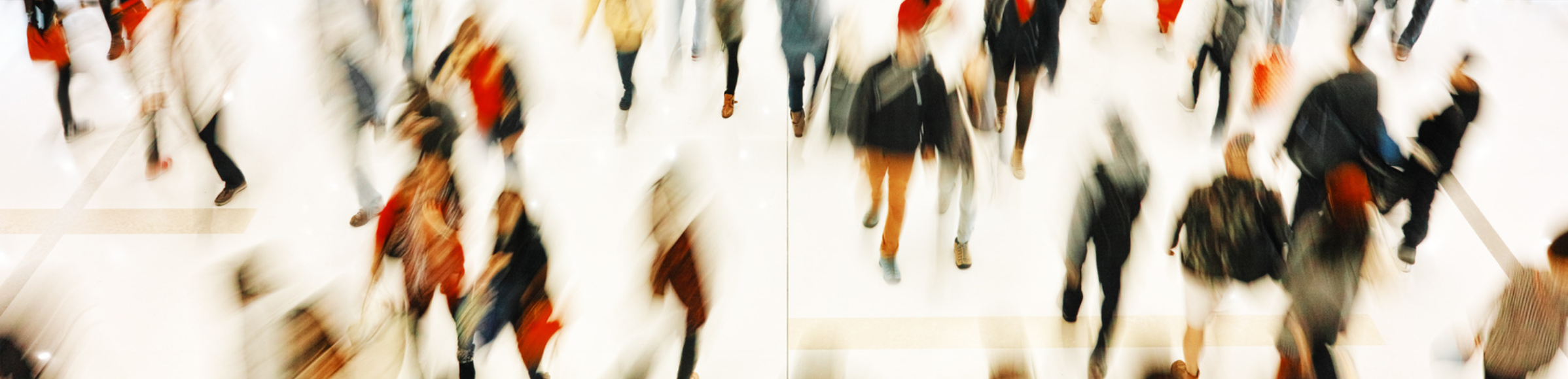 Header Webinar Multivariate Verfahren