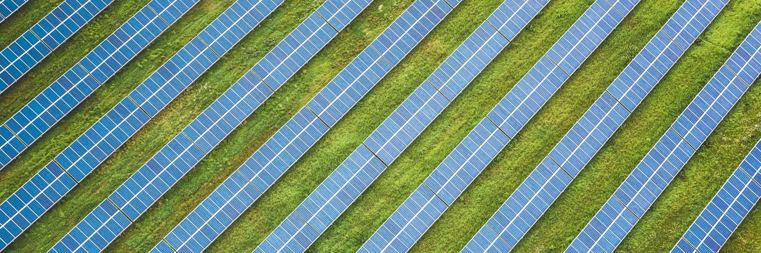 intervista-Webinar zu Marktforschung im Energiebereich