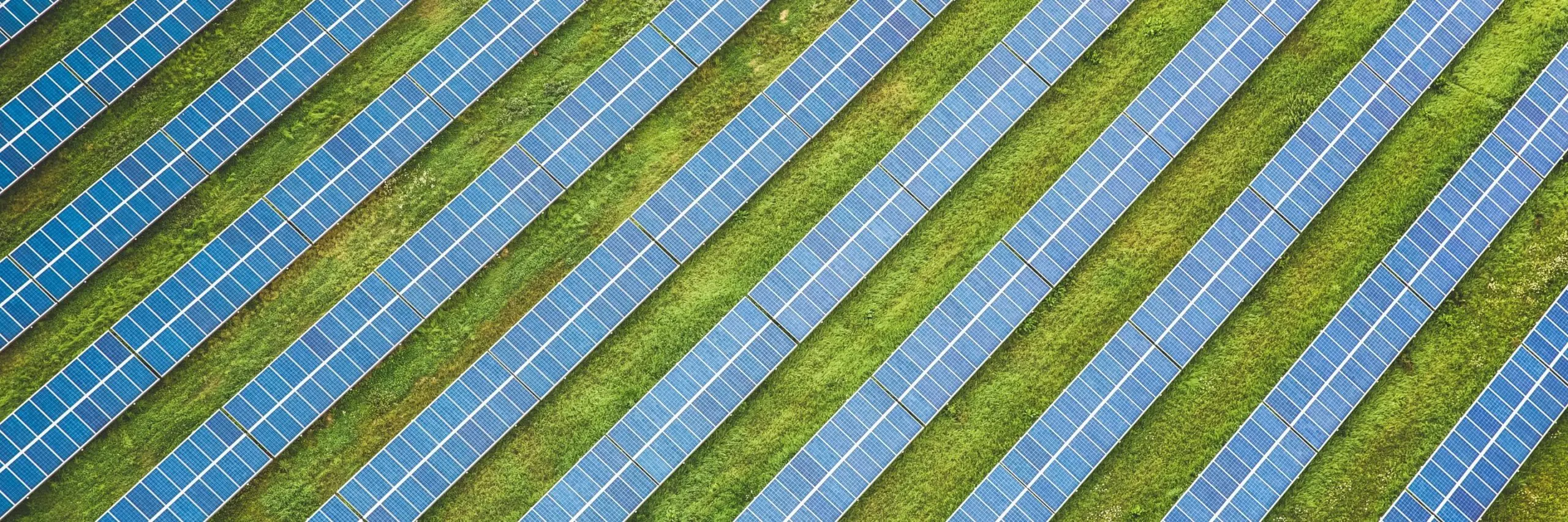 intervista-Webinar zu Marktforschung im Energiebereich