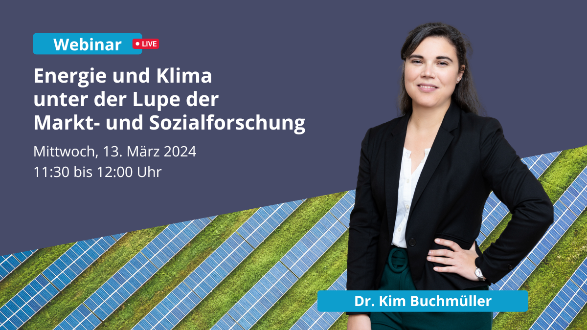 intervista-Webinar zu Marktforschung im Energiebereich